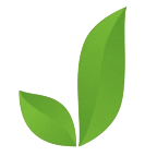 Jytra Pharmacy